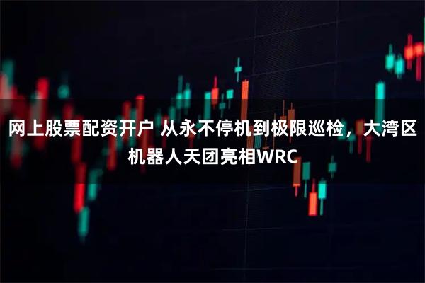 网上股票配资开户 从永不停机到极限巡检，大湾区机器人天团亮相WRC