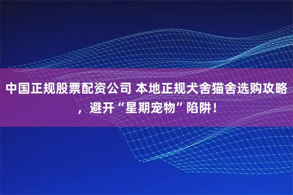 中国正规股票配资公司 本地正规犬舍猫舍选购攻略，避开“星期宠物”陷阱！