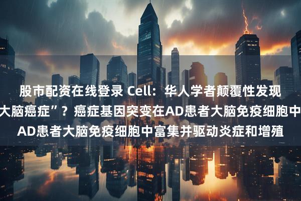 股市配资在线登录 Cell：华人学者颠覆性发现，阿尔茨海默病竟是“大脑癌症”？癌症基因突变在AD患者大脑免疫细胞中富集并驱动炎症和增殖