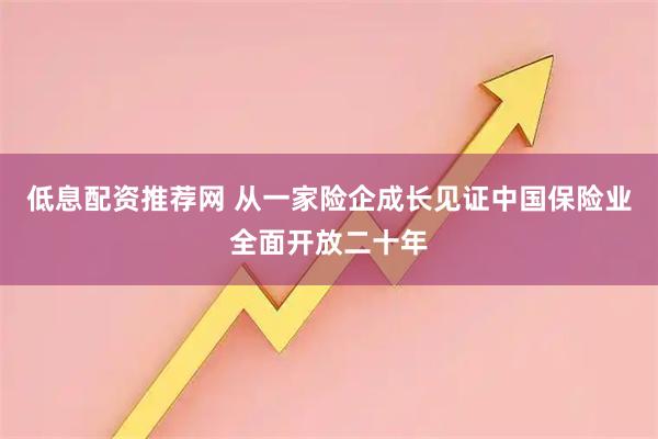 低息配资推荐网 从一家险企成长见证中国保险业全面开放二十年